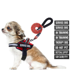 Animire service dog harness in red vest offers comfortable daily wear.