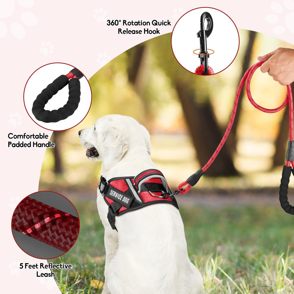 Animire 5 ft reflective leash with padded handle for safer walks