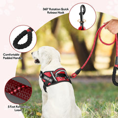 Animire 5 ft reflective leash with padded handle for safer walks