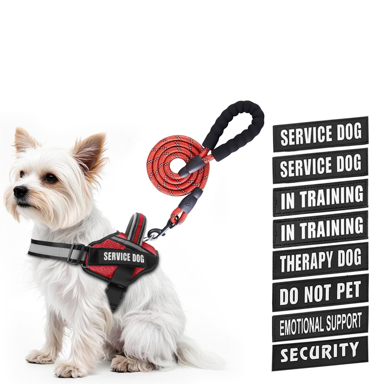 Animire service dog vest harness shown on a dog for daily training and comfort