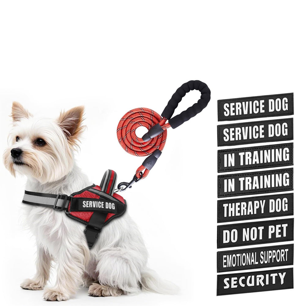 Animire service dog vest harness shown on a dog for daily training and comfort