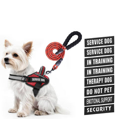 Animire service dog vest harness shown on a dog for daily training and comfort
