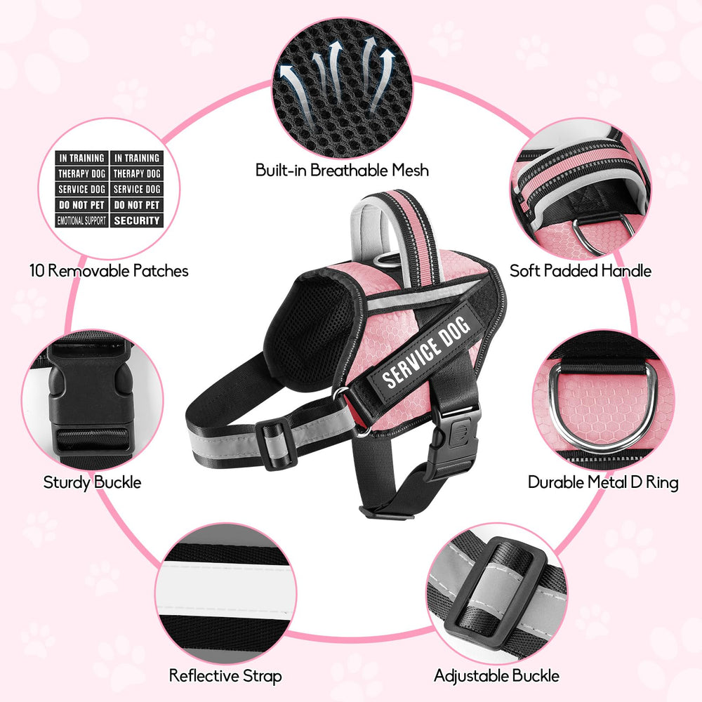 Animire size chart demonstrates harness options from XXS to XL.