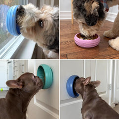 Animire slow feeder bowl promotes mindful eating and calmer play