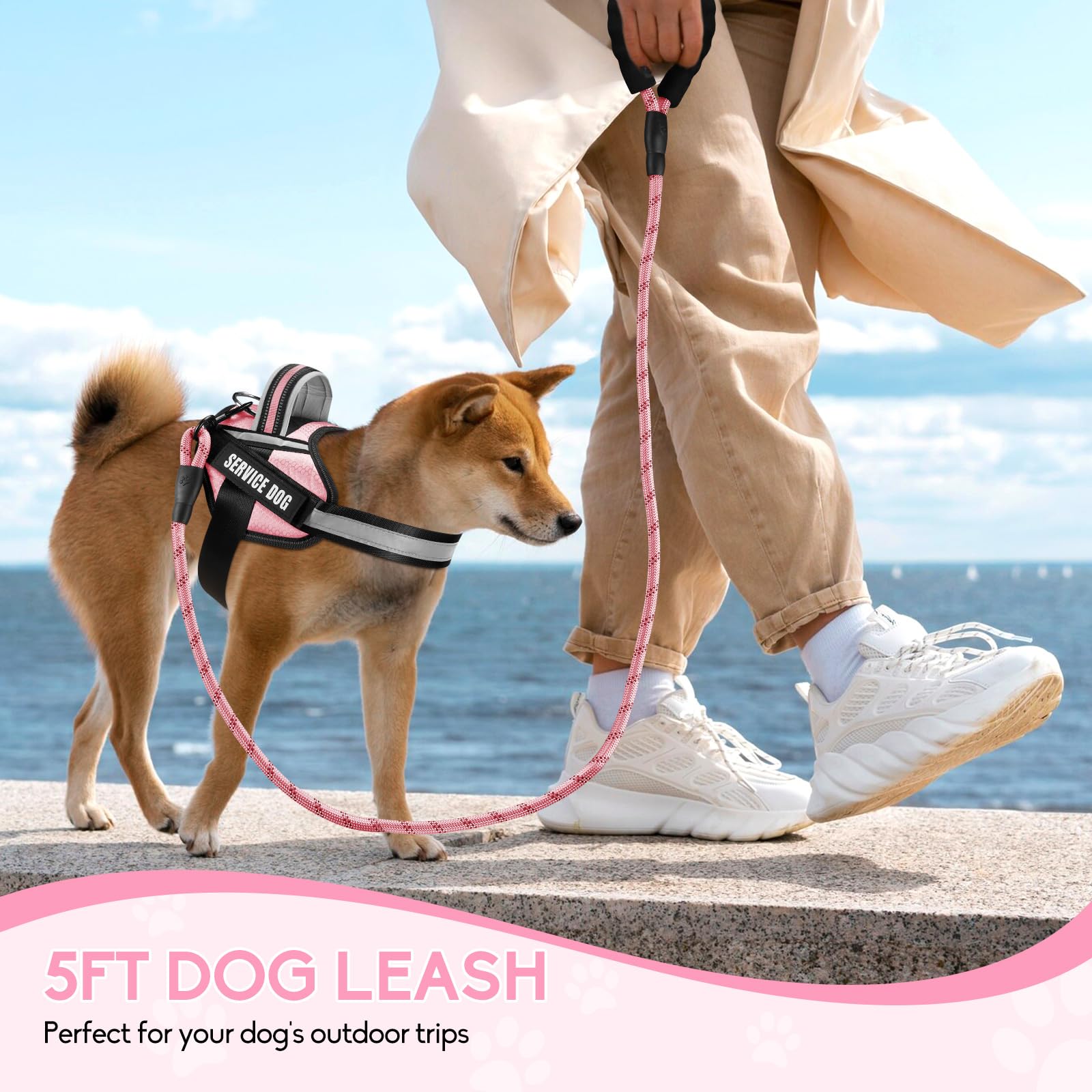 Animire leash with soft padded handle for comfortable gripping.