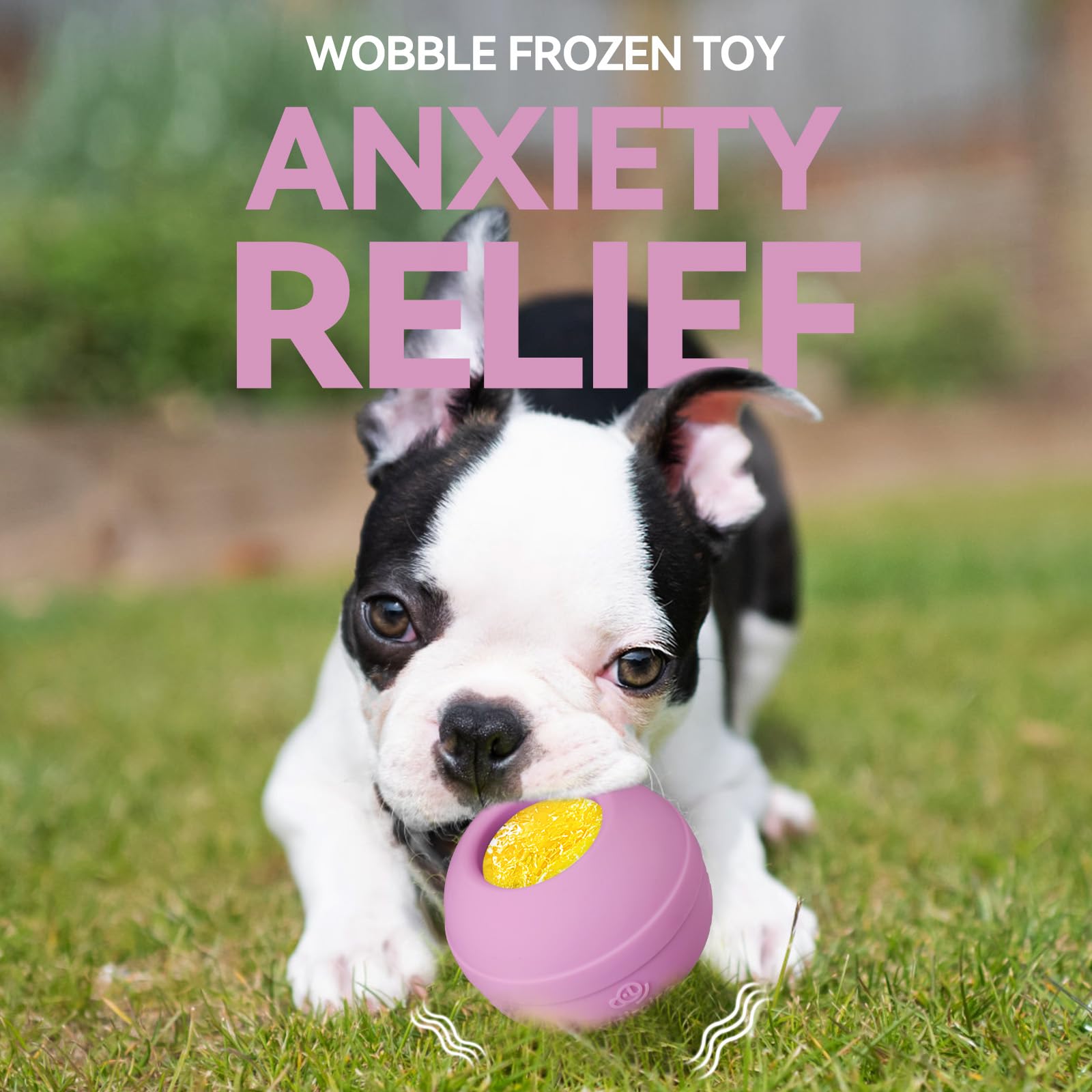 Animire treat-dispensing toy helps hydration during hot days.
