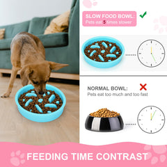 Anipaw 3-in-1 set showing feeder bowl, water bowl, and mat