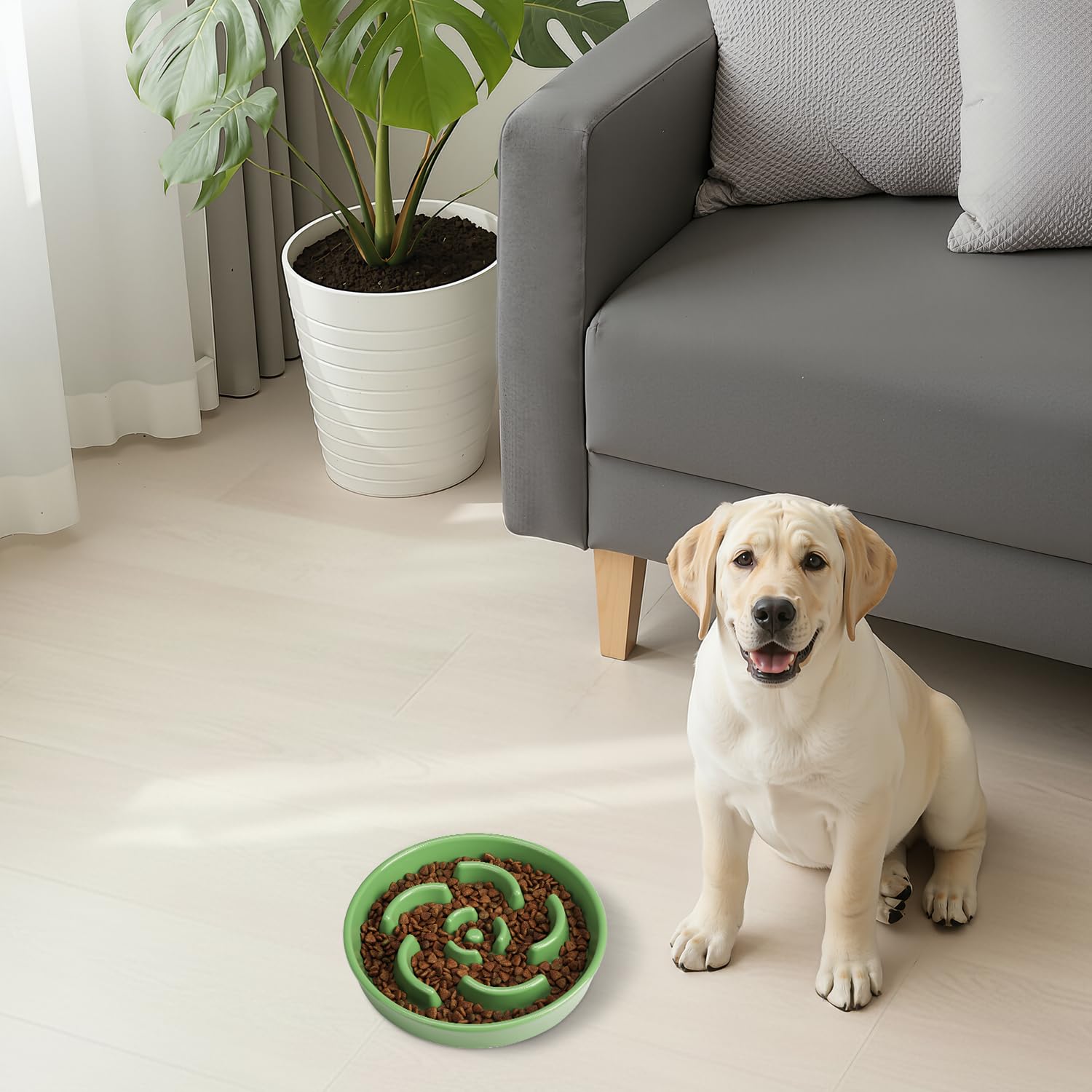 Anipaw ceramic dog bowl with 1.5 cup capacity for all breeds