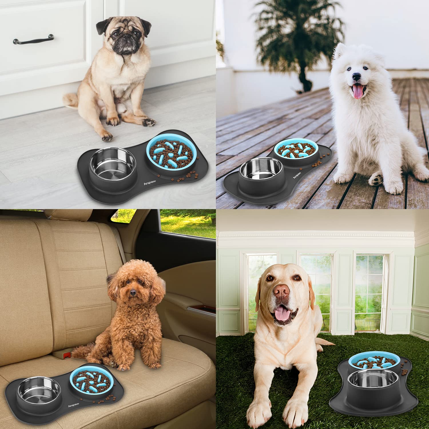 Anipaw travel-friendly bowls simplify daily meals on the go.