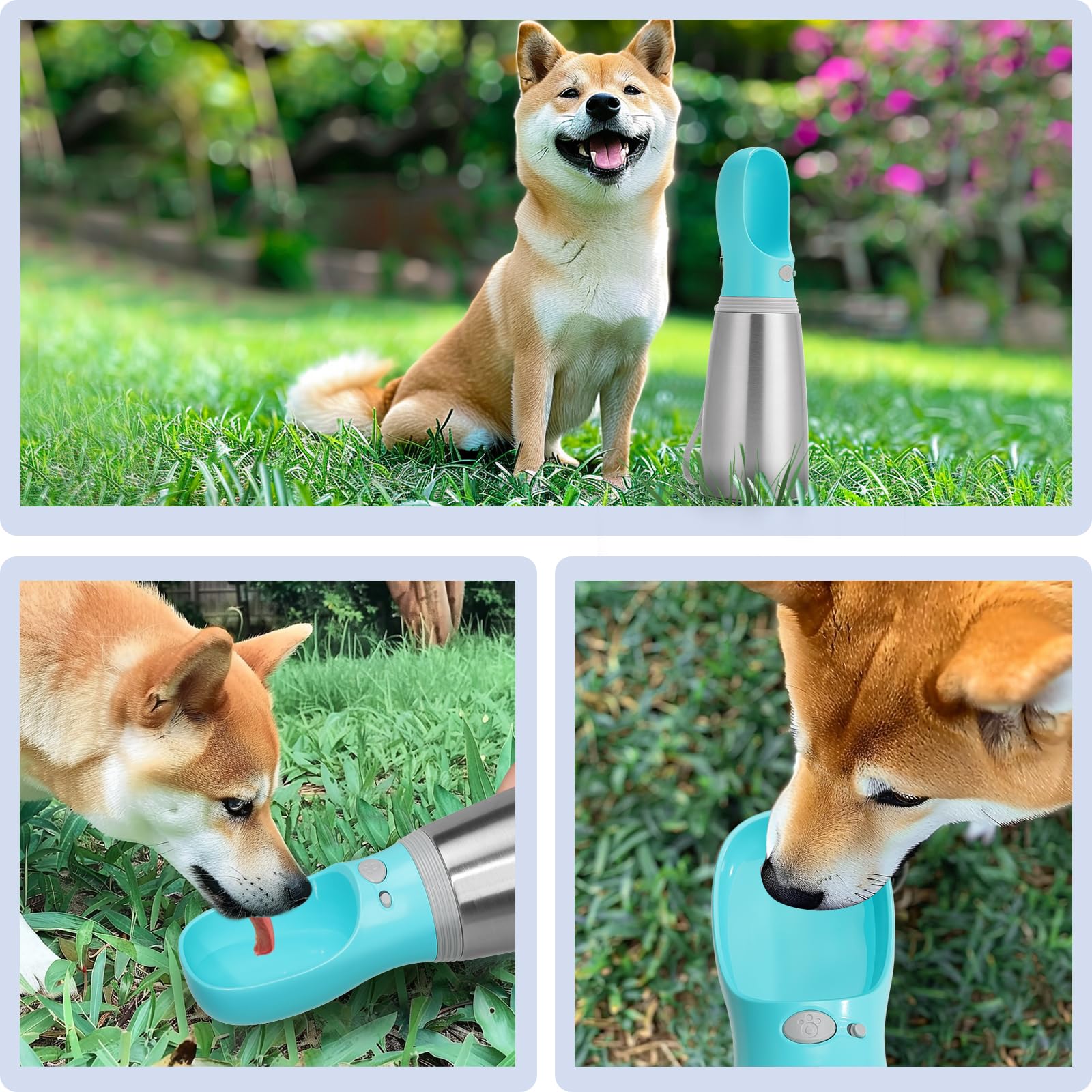 Anipaw portable bottle is ideal for travel, walks, and outdoor activities.