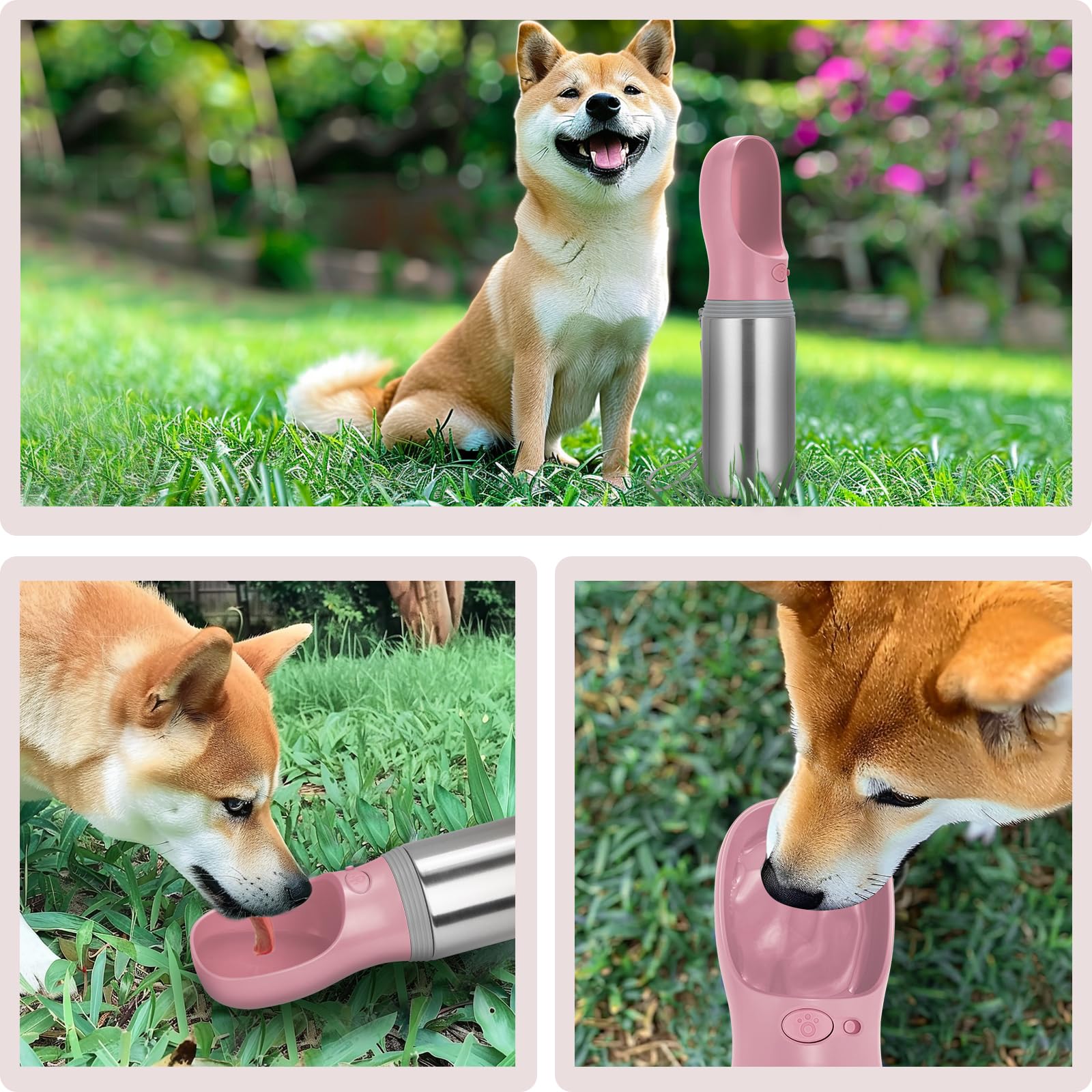 Anipaw portable dog water bottle in use during travel and hiking