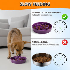 Anipaw Slow Feeder Bowl ceramic is dishwasher-safe for easy cleaning