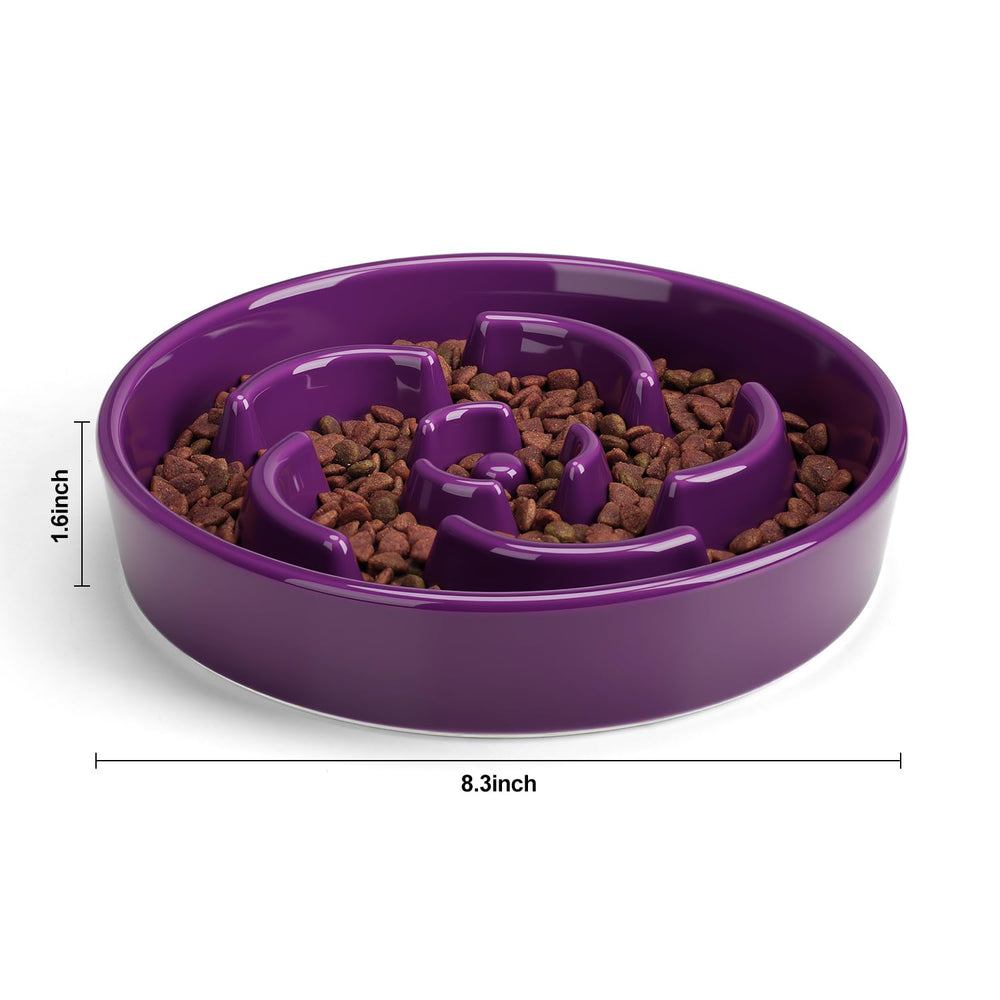 Anipaw Slow Feeder Bowl close-up shows intricate floral maze patterns