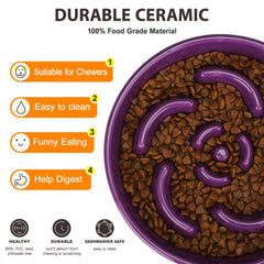Anipaw Slow Feeder Bowl floral maze design close-up for mindful eating