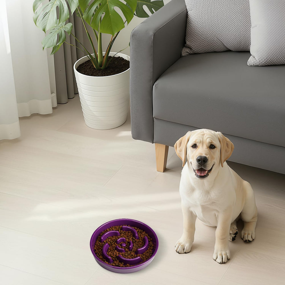 Anipaw Slow Feeder Bowl stable anti-slip base close-up for steady use