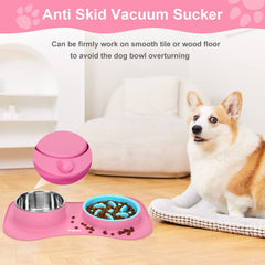 Anipaw stainless steel water bowl in use for steady hydration