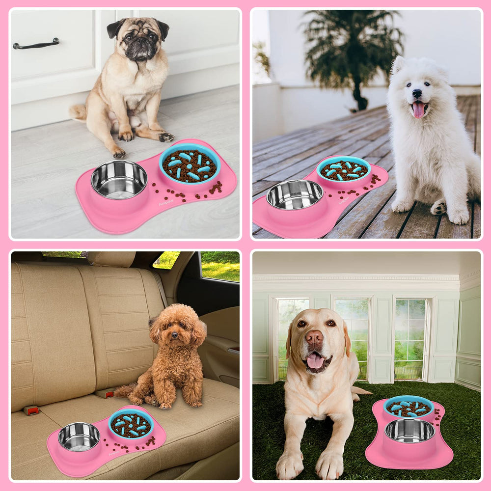 Anipaw travel-friendly design keeps feeding tidy at home or away