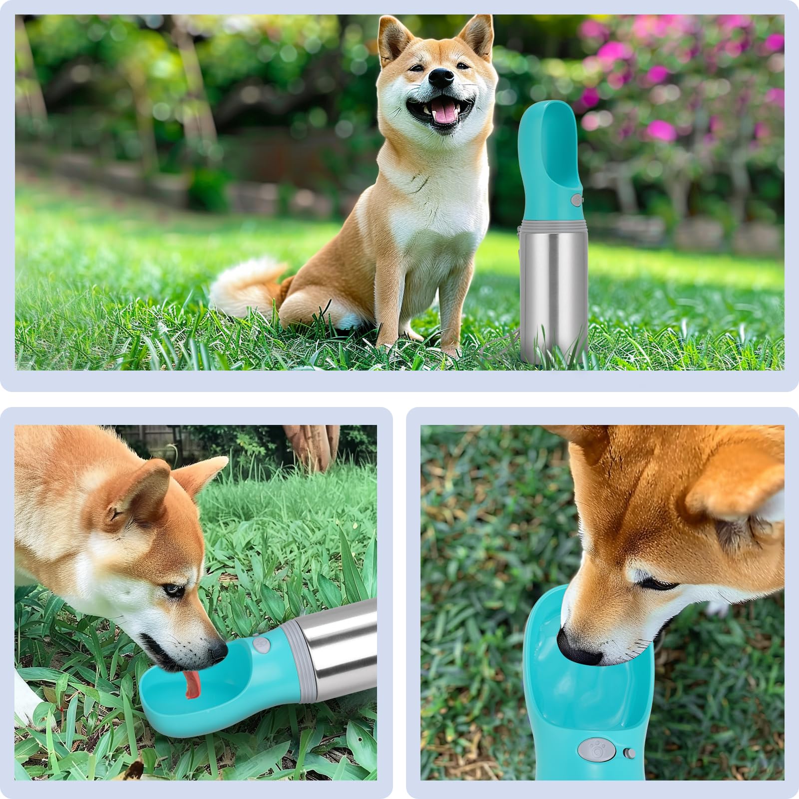 Anipaw travel-friendly bottle supports hydration on road trips and hikes