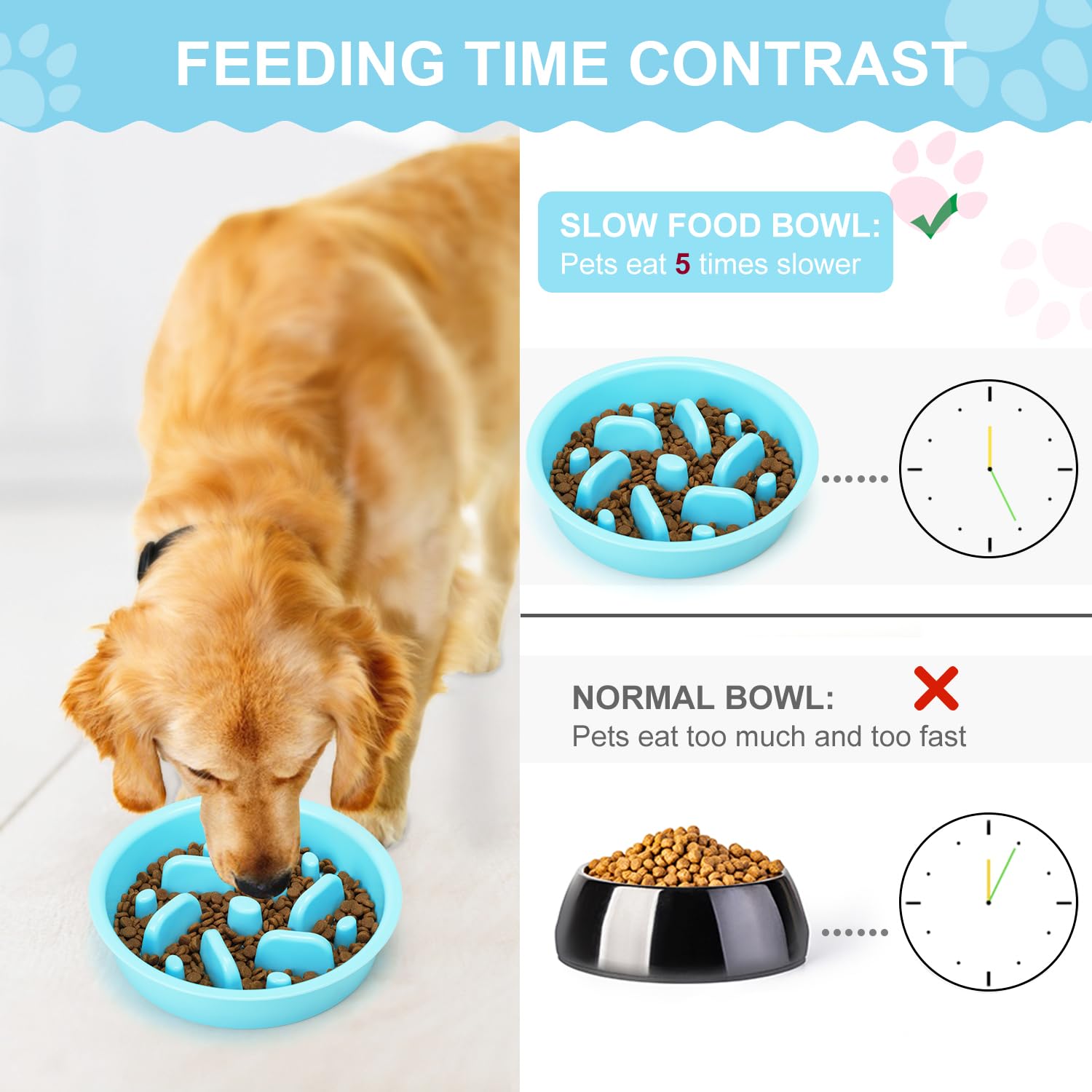 Anipaw stainless steel water bowl ready for daily hydration