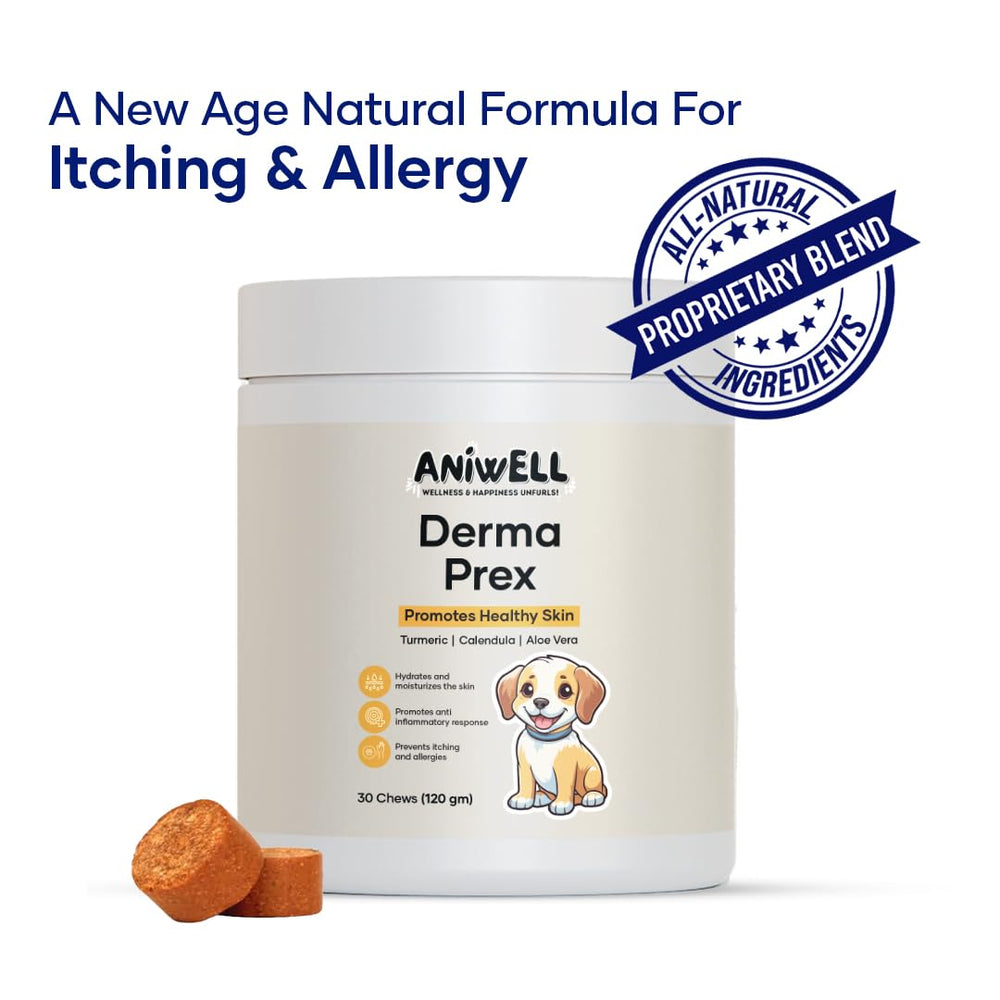 Aniwell DermaPrex Quercetin di-hydrate powder supports itch relief and calm skin.