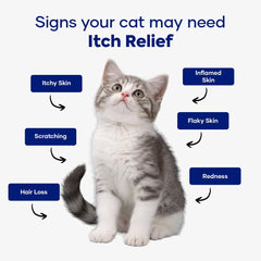 Aniwell Feline Itch Relief cats enjoying soft chews as a daily treat.
