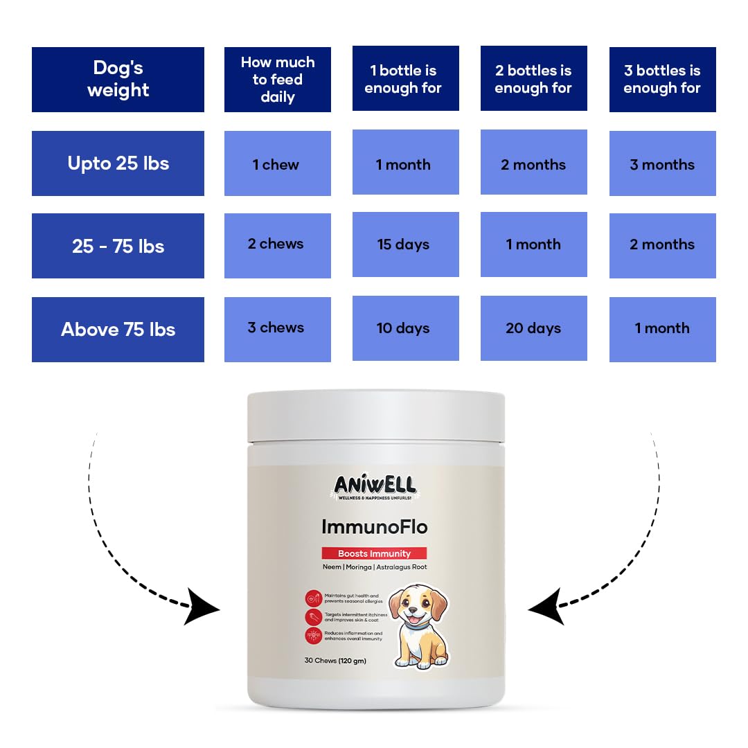 Aniwell ImmunoFlo daily serving concept paired with meals.