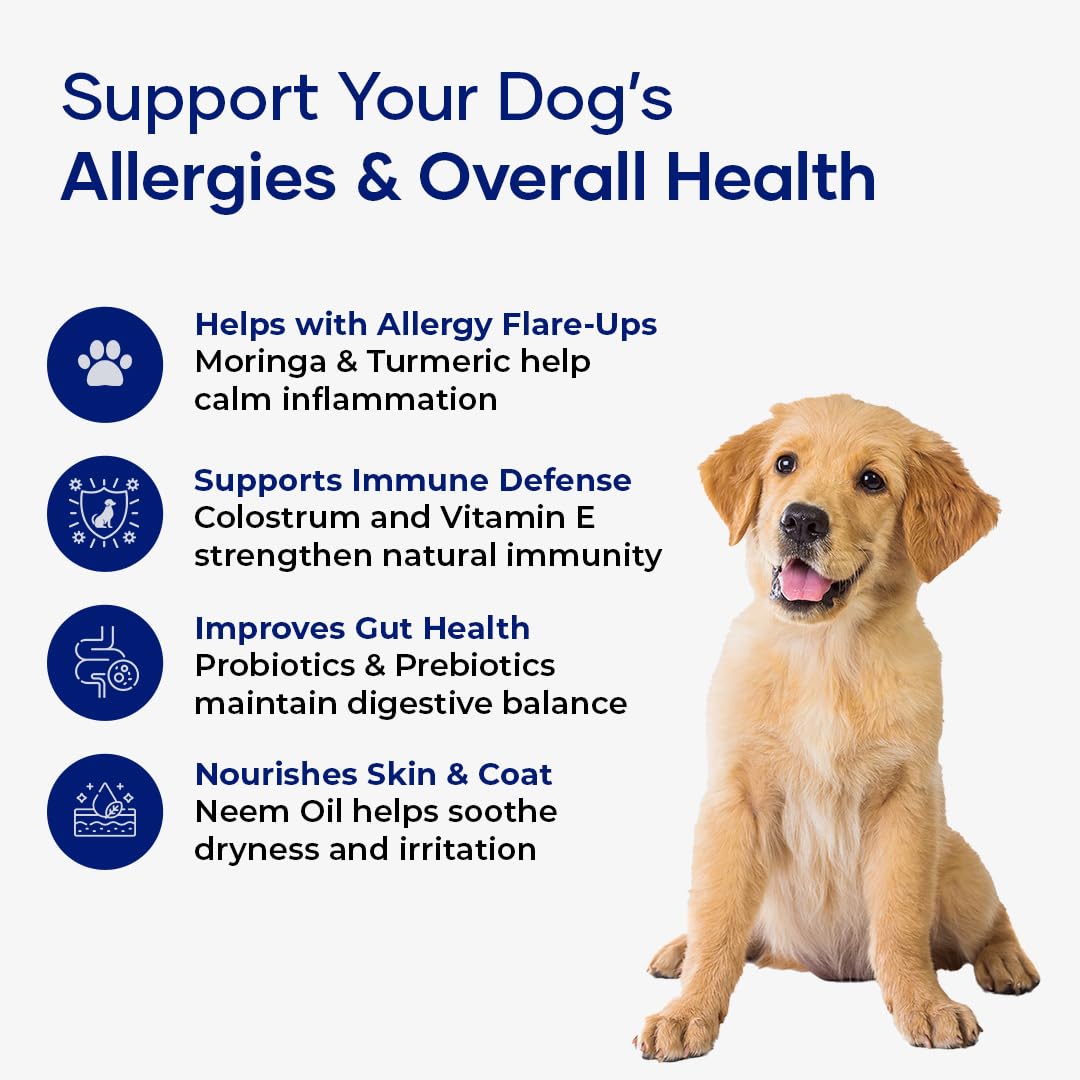 Aniwell ImmunoFlo soft chew texture shown beside a paw.