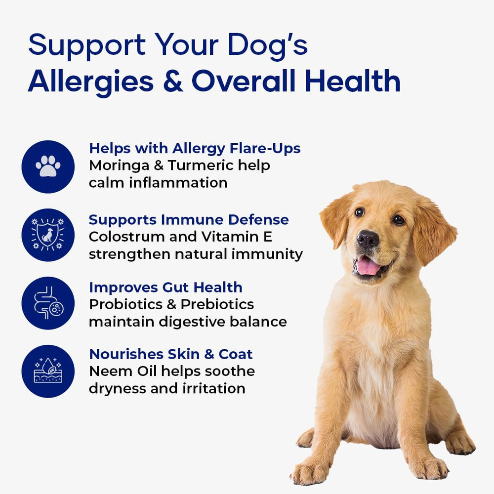Aniwell ImmunoFlo soft chew texture shown beside a paw.