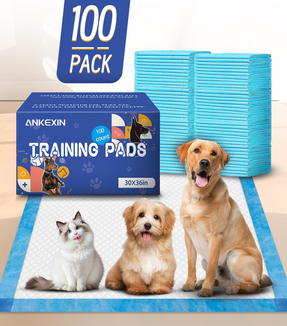 ANKEXIN 360-degree leakproof design with wrap-around guards for comprehensive protection.
