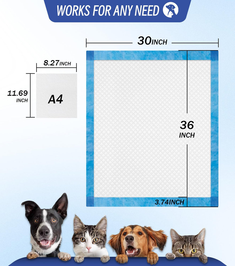 ANKEXIN herbal attractants guide pets toward the pad in a gentle, friendly way.