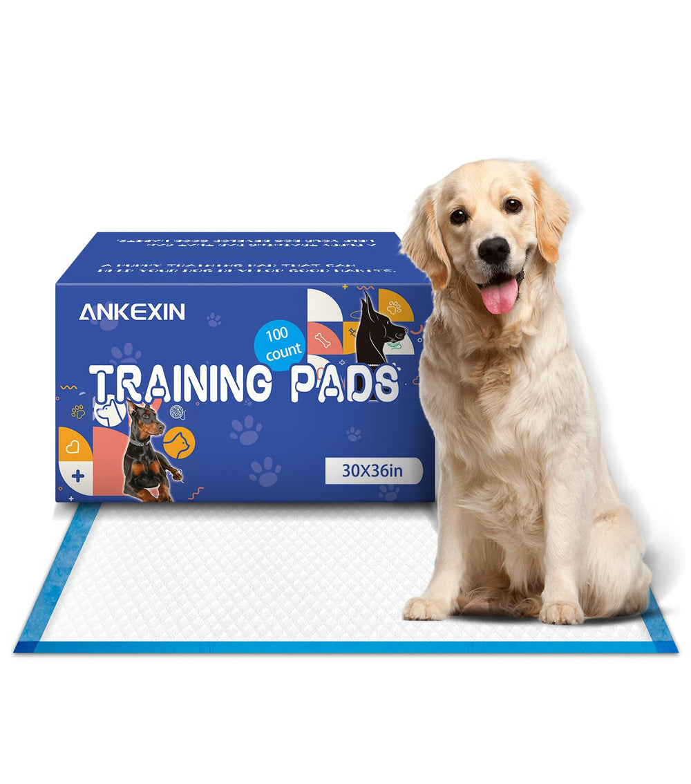 ANKEXIN XL puppy pad 30x36 with quick-dry surface for fast moisture control during potty training.