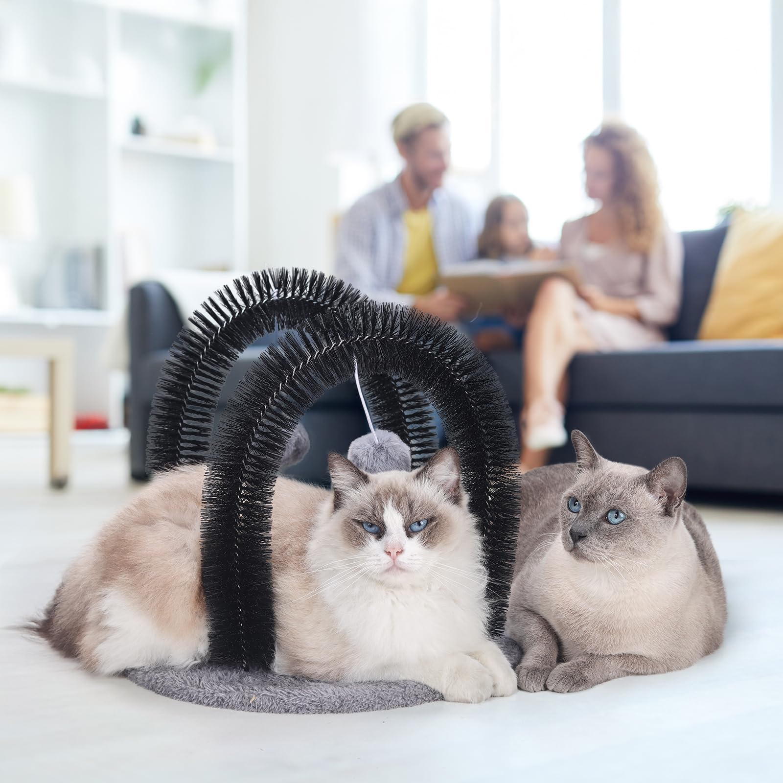Ankuliy Cat Arch Self Groomer packaging includes the arch massager and guide.