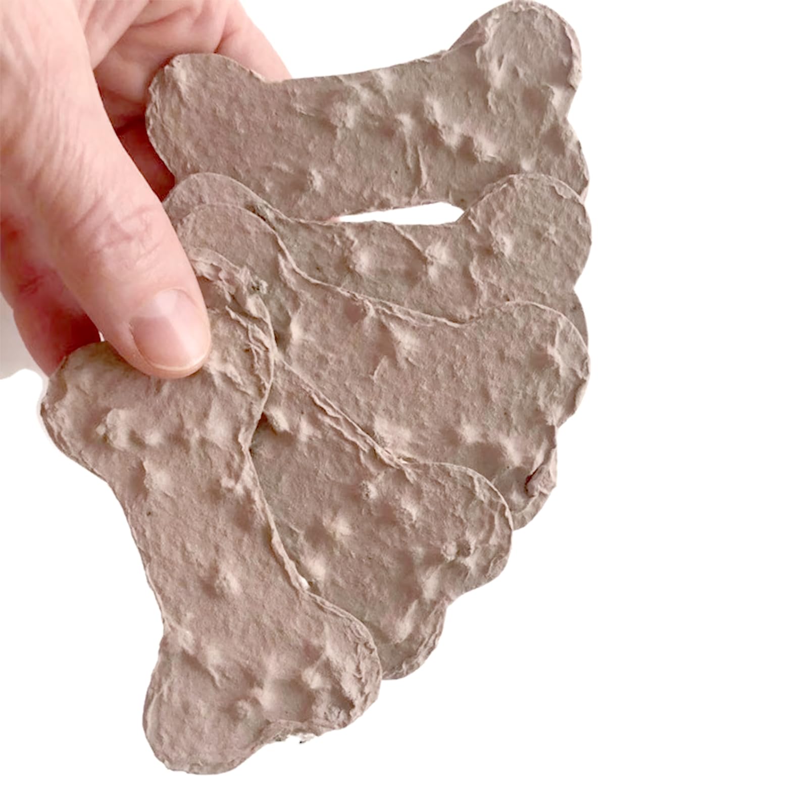ANLYAWX eco-friendly packaging protects seed paper until planting