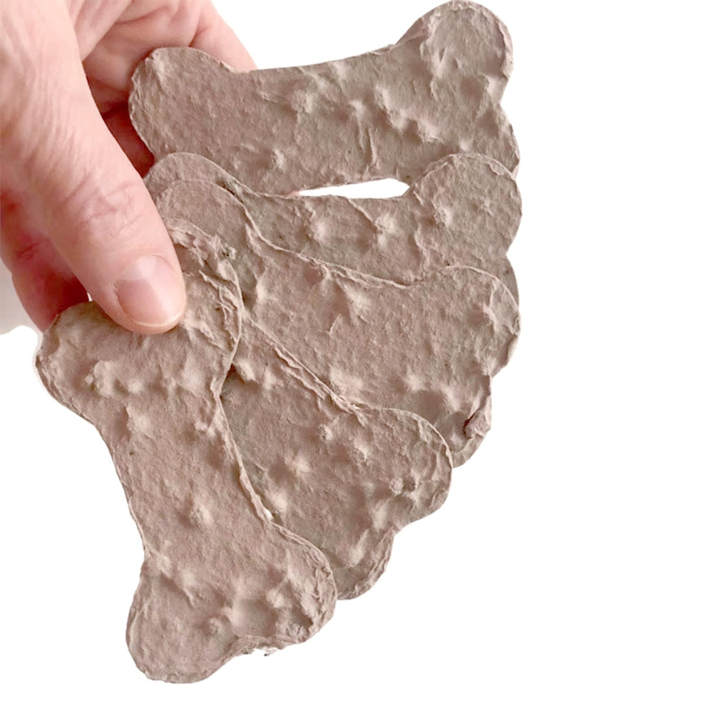 ANLYAWX eco-friendly packaging protects seed paper until planting