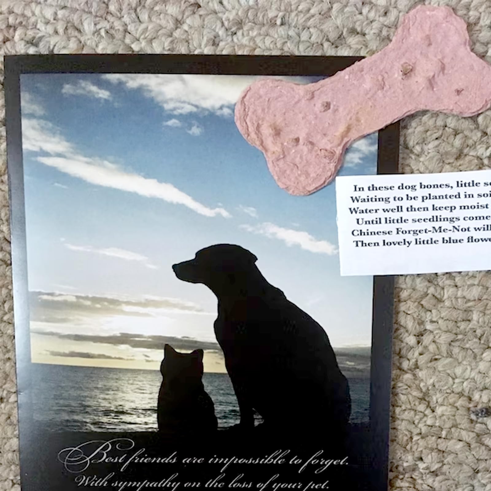 ANLYAWX handwritten condolence card for pet loss