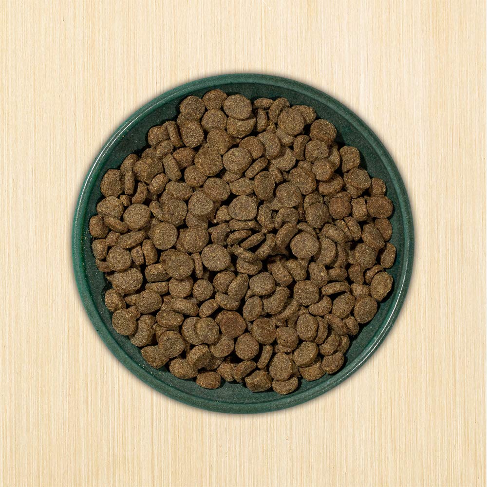 Grain-free formula in a kitchen setting ready for daily feeding