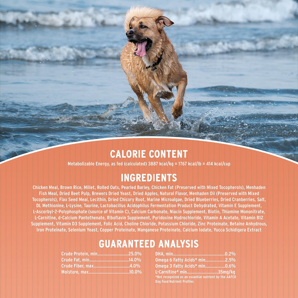 Annamaet Original Encore brown rice panel emphasizes balanced energy for active dogs.