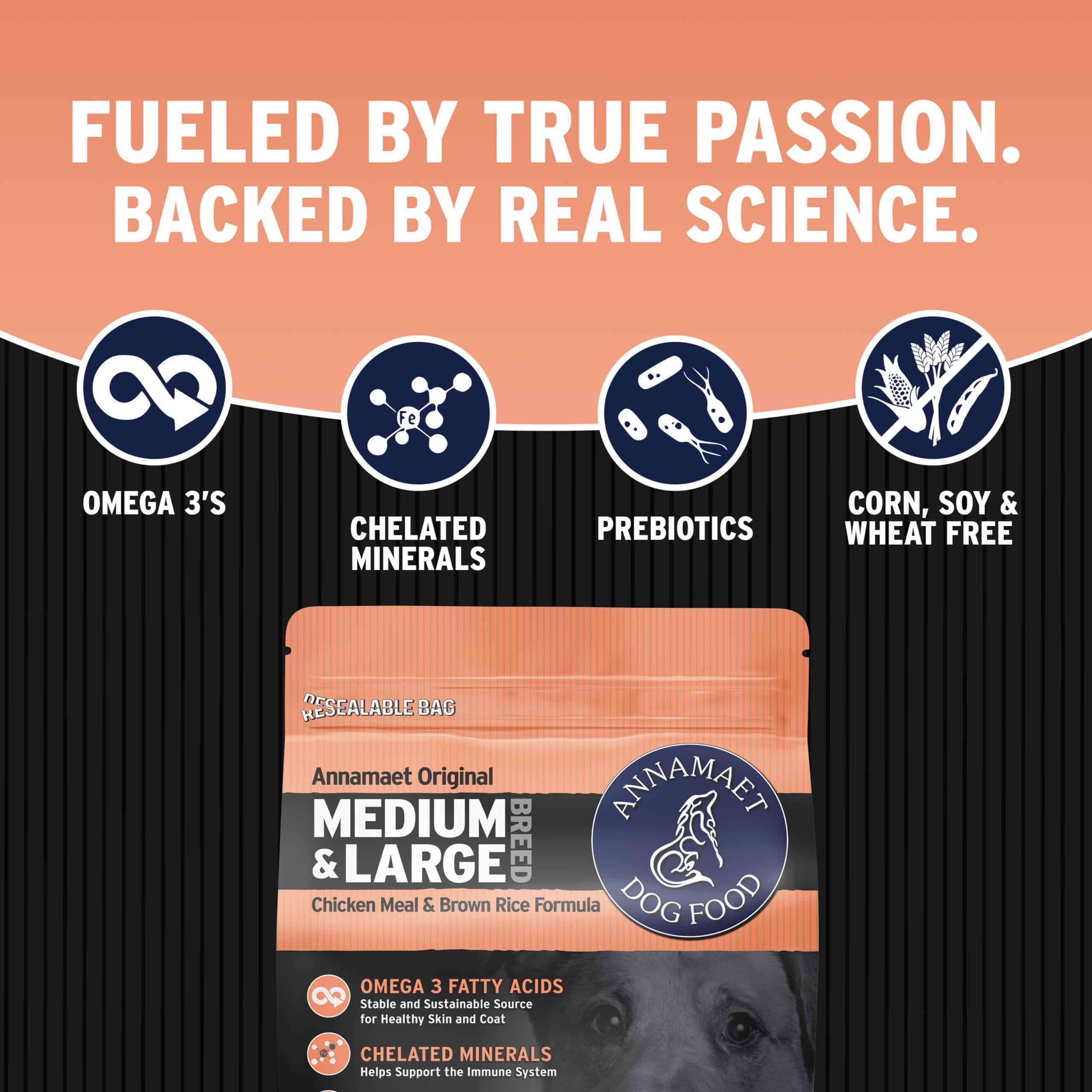Annamaet Original Encore ingredients chicken brown rice emphasizing antibiotic-free protein