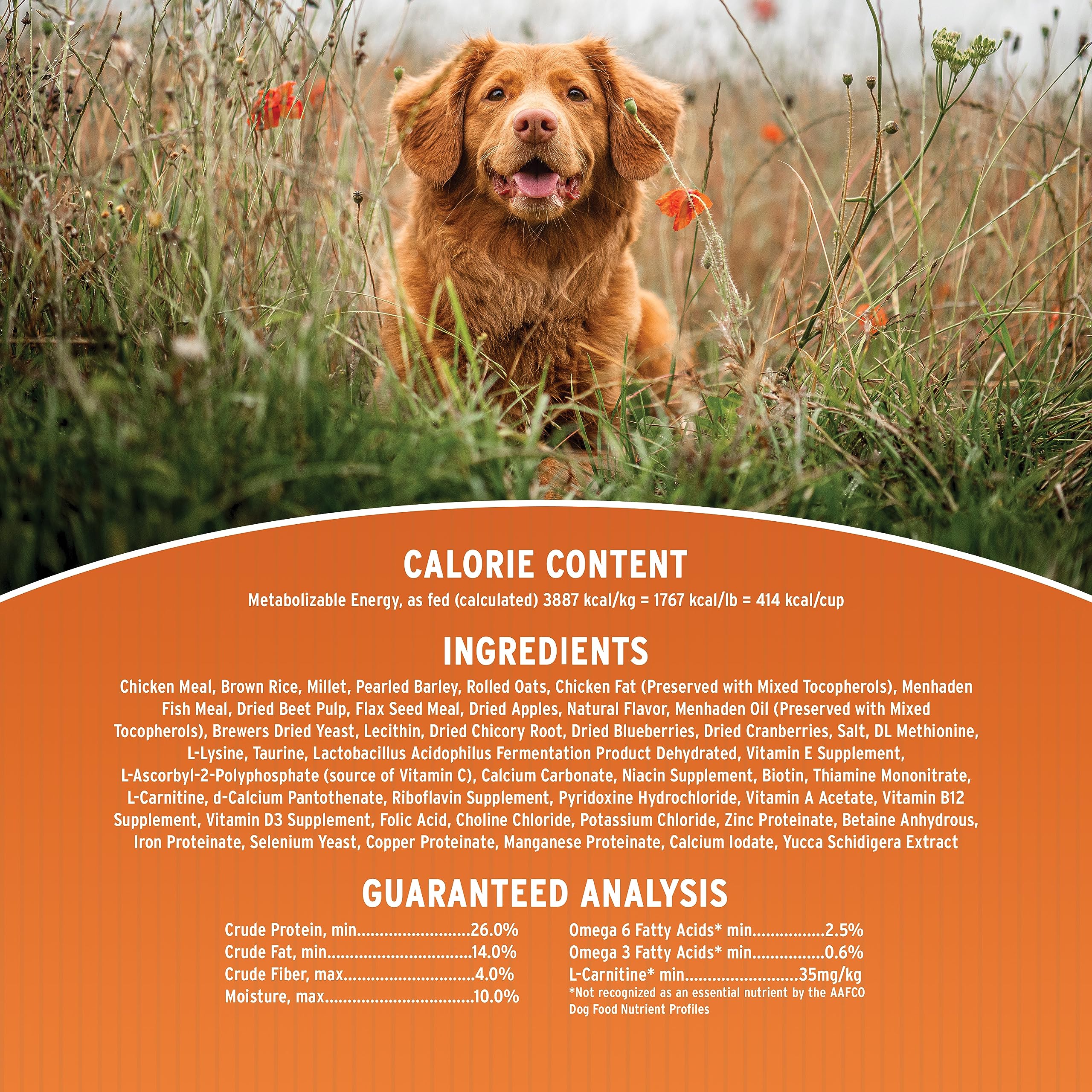 Annamaet Original Puppy DHA-fortified packaging highlighting brain-development support