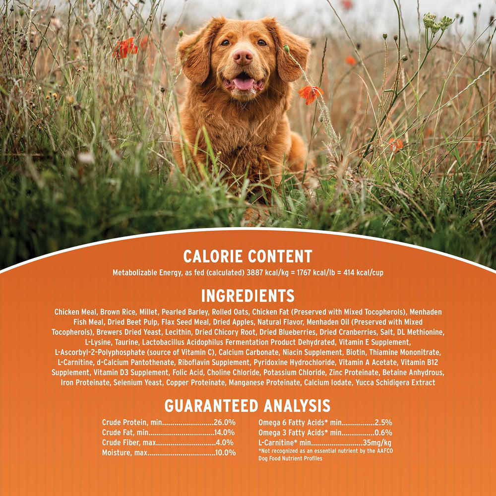 Annamaet Original Puppy DHA-fortified packaging highlighting brain-development support