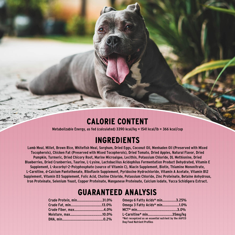 Annamaet kibble featuring turmeric and coconut oil nutraceuticals for flavor and skin support.