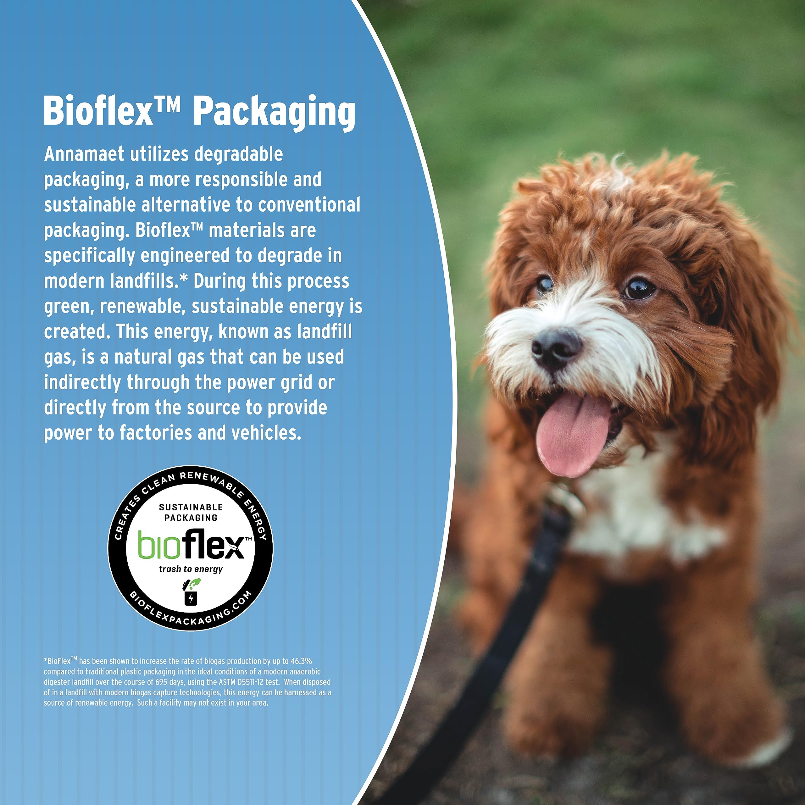 Annamaet Small Breed feeding scene illustrates portion-appropriate meal for small dogs.