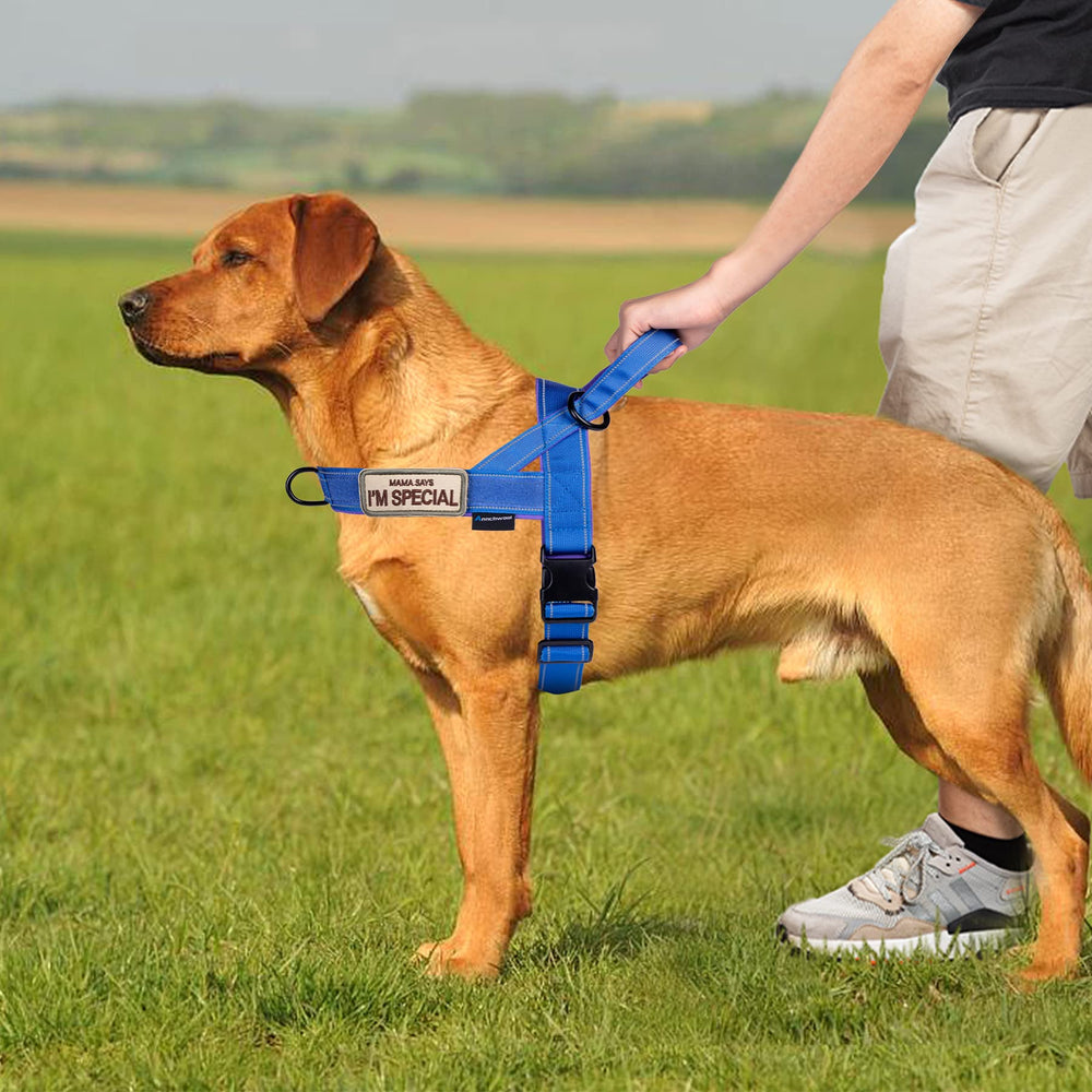 Includes two velcro patches for a personalized look.