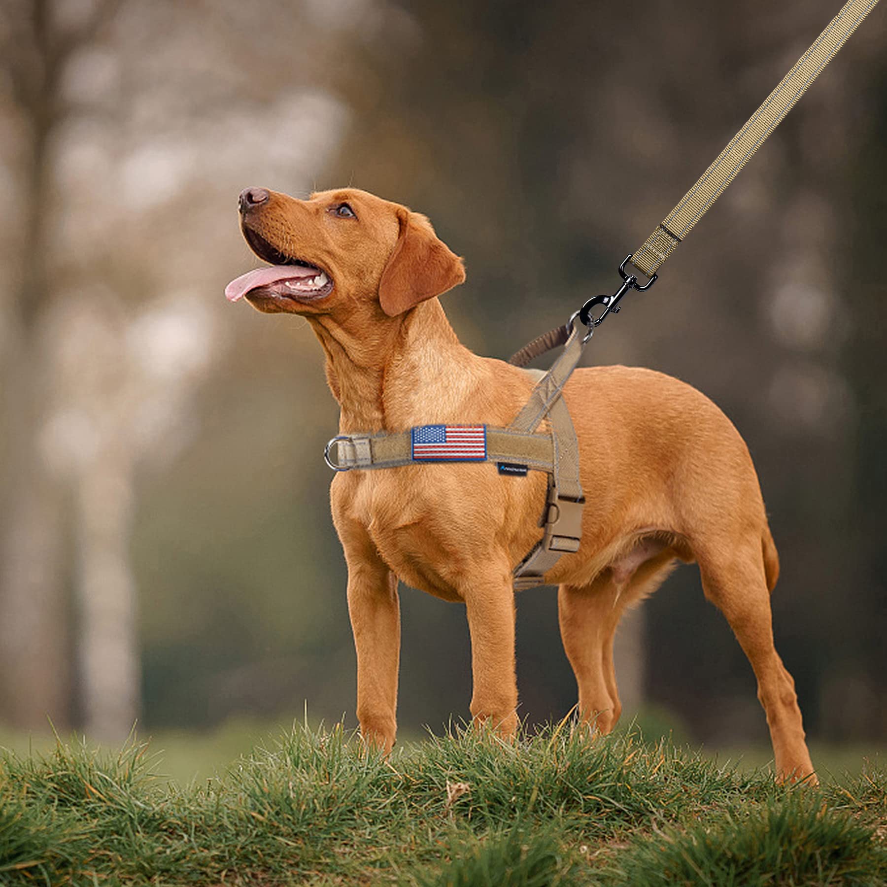 Back and chest straps provide breathable comfort during walks.