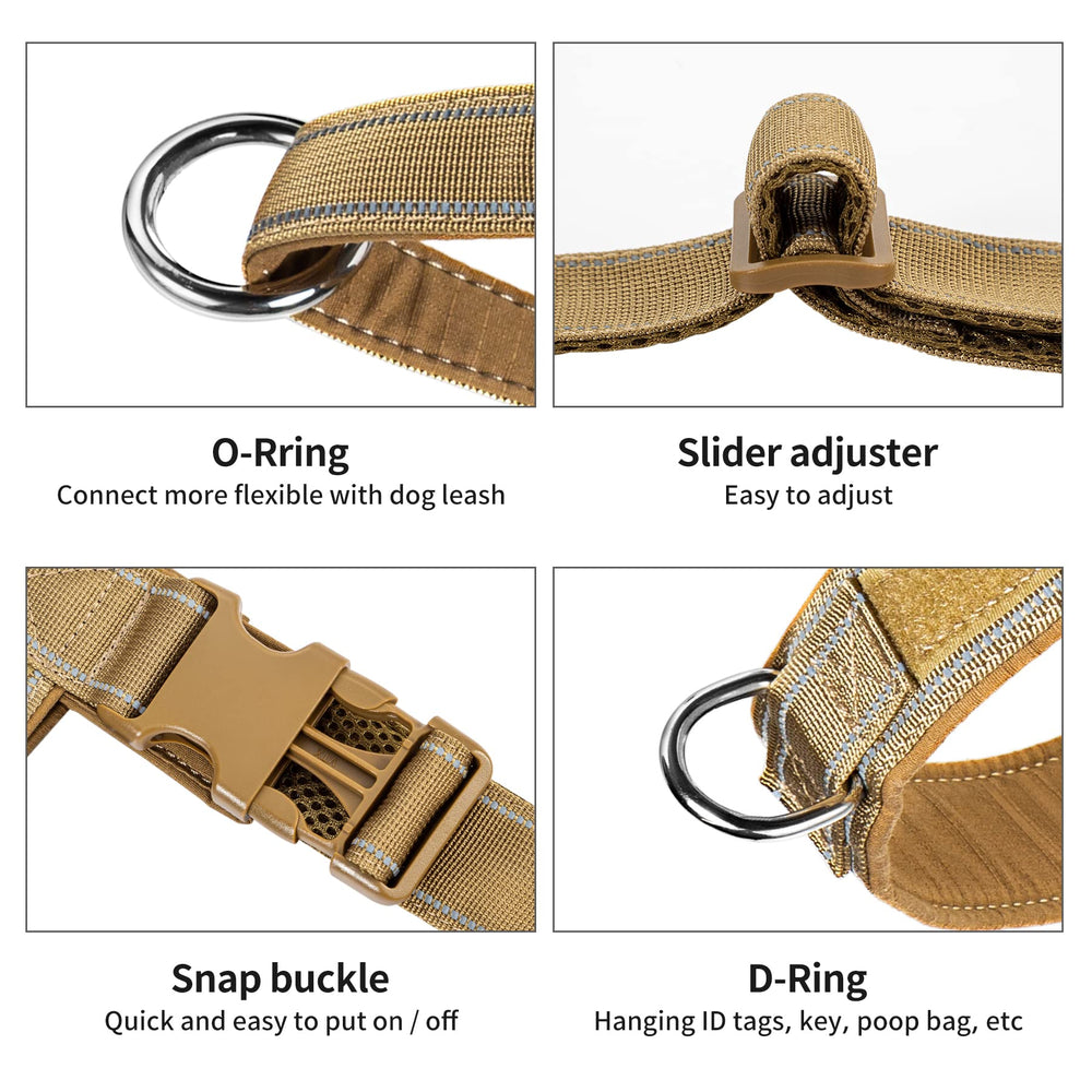Two rings design for secure leash and convenient tag storage.