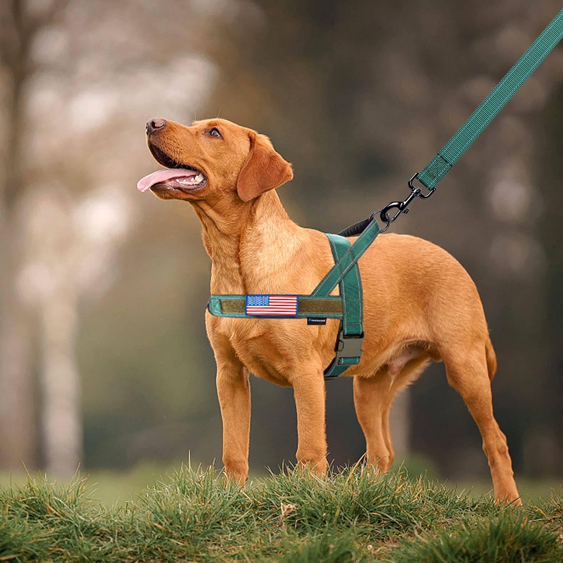 Annchwool harness with velcro patches for customizable styling.