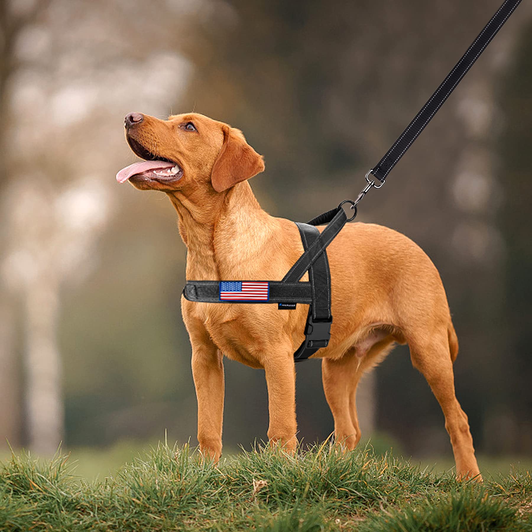 Annchwool No Pull Harness front chest strap to discourage pulling