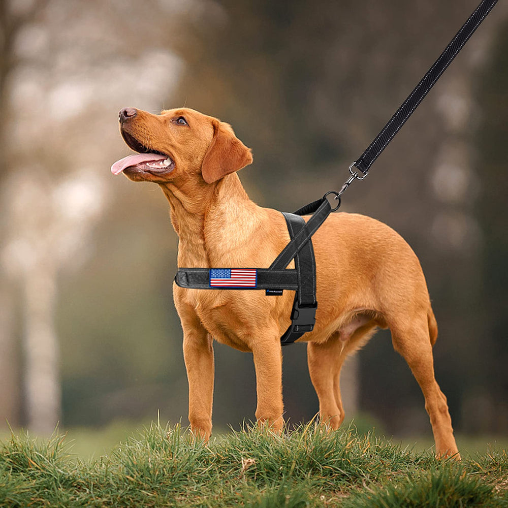Annchwool No Pull Harness front chest strap to discourage pulling
