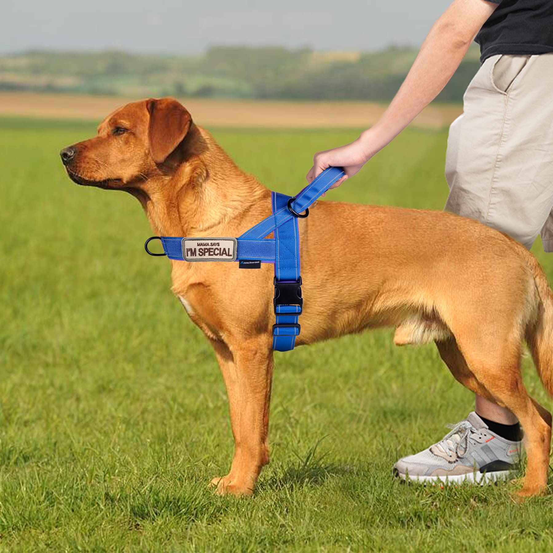 Annchwool soft breathable inner material keeps dogs comfortable on long outings.