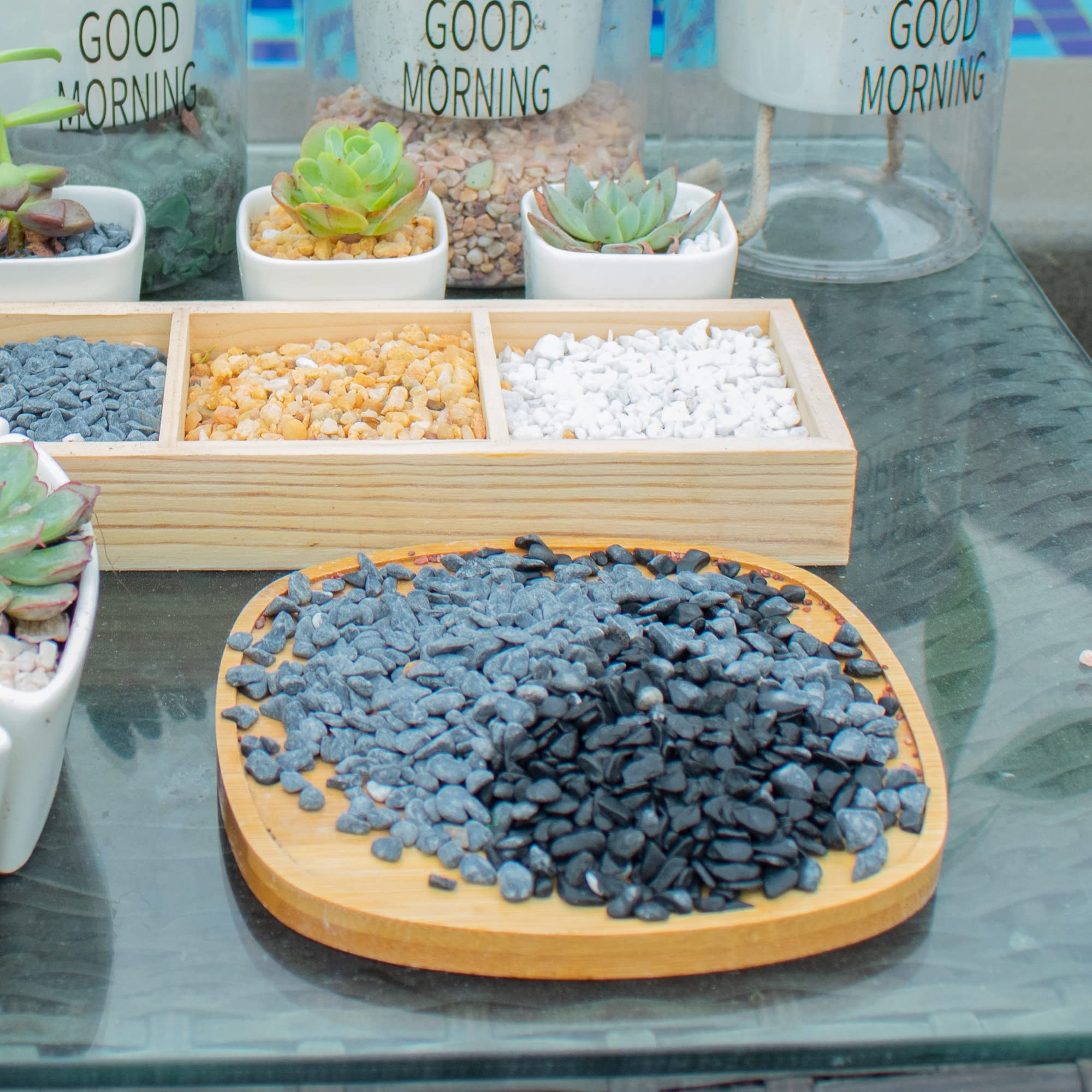 Anothera decorative gravel for terrariums adds texture and color.